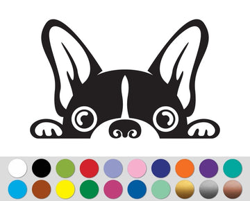 Dog Pup French Bulldog Pet Animal sign bumper sticker decal