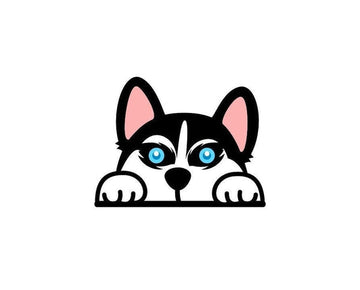 Dog Husky Pup Baby Pet Peek Animal bumper shape sticker decal