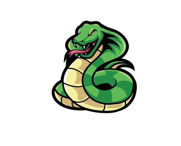 Snake Reptile Dragon Animal sign bumper sticker decal