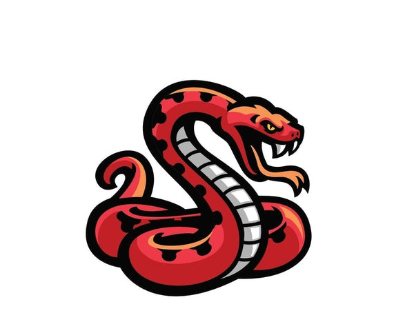 Snake Reptile Dragon Animal sign bumper sticker decal