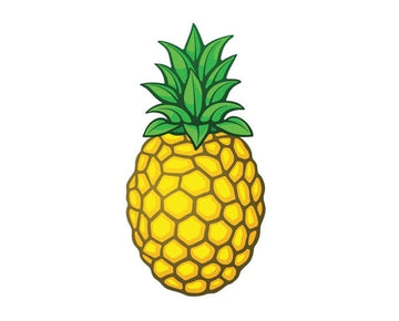 Pineapple Fruit Food Beach sign banner sticker decal